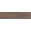 ABS Ambassador Nuss 1x100mm Mutterrolle Saphir - 1x85mm