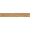 EGGER ABS-Akzentkante H8912 ST10 Multiplex Walnuss 1x23mm