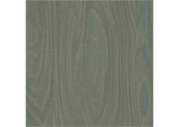 Formica F 8911 NAT Green Slate Birchply