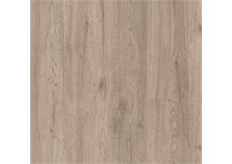 Innovus M6264 FUN Salerno Oak Pale