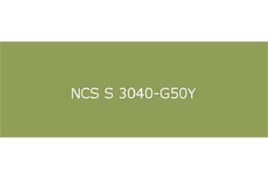 NCS S 3040-G50Y