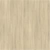 Pfleiderer R 24029 FL Fjord Buche hell