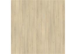 Pfleiderer R 24029 FL Fjord Buche hell