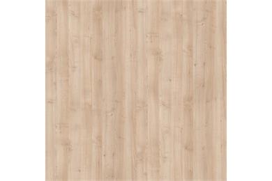 Pfleiderer R 27044 FL Spitzahorn