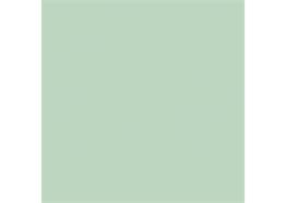 Pfleiderer U 19006SD Mint