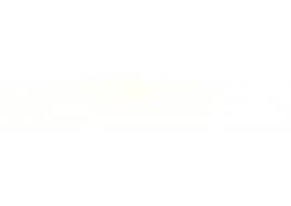 Polyester Weiss SM 0.4x23mm
