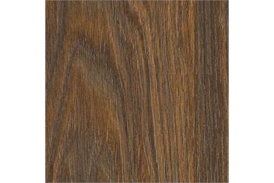 SM'art C005 CLUB Cricket