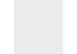 Polyrey G 029FA Gris Tourterelle