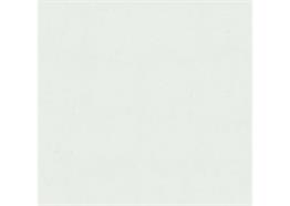 Argolite 1010SS blanc calcaire