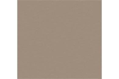 Egger F 579 ST20 Crossed Metal champagner