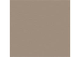 Egger F 579 ST20 Crossed Metal champagner