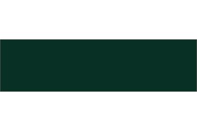 Forbo Linoleum Desktop Chant 4174 conifer 1x60mm - 1x45mm