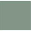FunderMax F105 AM Shamrock vert foncé