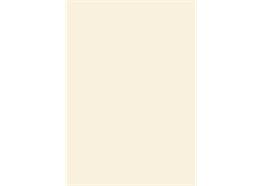 FunderMax 0733 SG Hygienic White