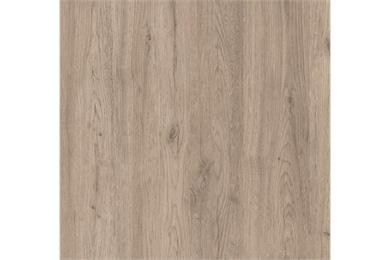 Innovus M6264 FUN Salerno Oak Pale