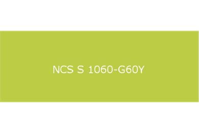 NCS S1060-G60Y