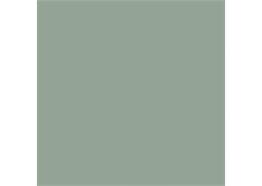 Polyrey V 113FA Vert Sauge