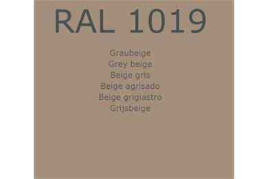 RAL1019 Graubeige