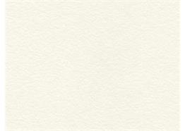 SwissKrono K 101EM blanc